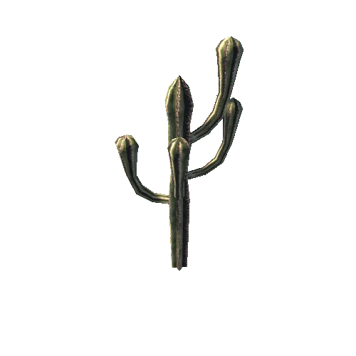 Gen02_05Cactus01g