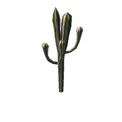 Gen02_05Cactus01i