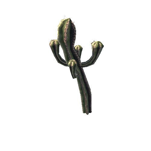 Gen02_05Cactus01k