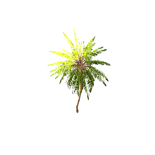 Gen02_05DatePalm01g