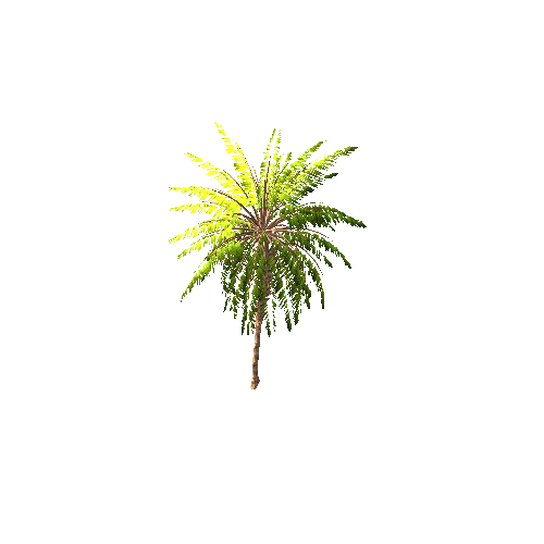 Gen02_05DatePalm01h