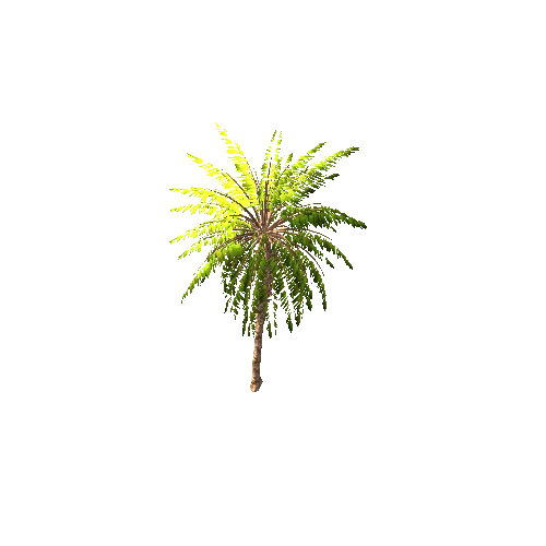 Gen02_05DatePalm01i