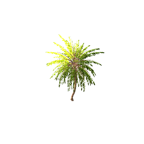 Gen02_05DatePalm01k