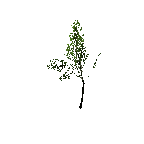 Tree_5_lod_Prefab