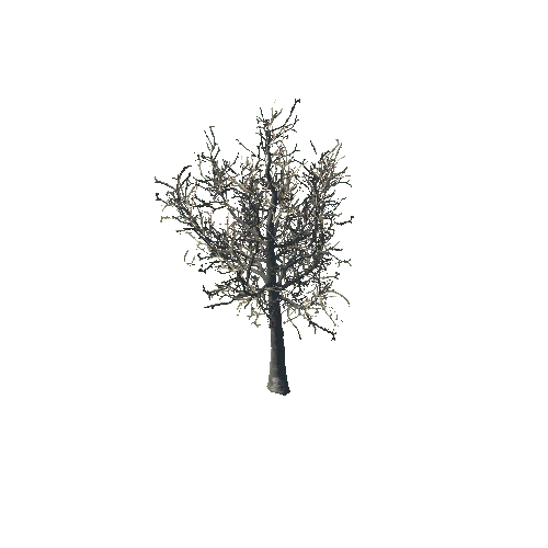 RTree1_prefab