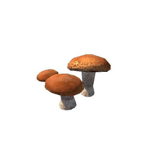 mushroom