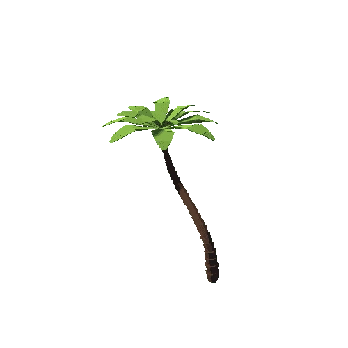 PalmTree_3