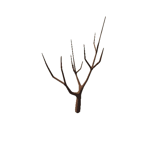 Tree_7