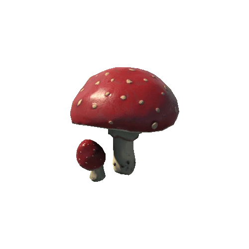 amanita