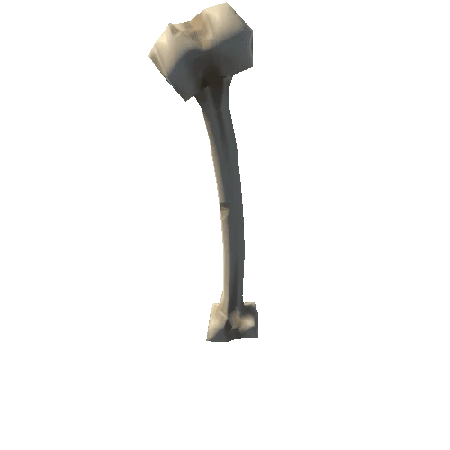 Bone_Long