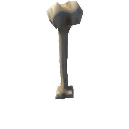 Bone_Short