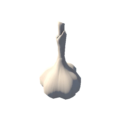 Garlic_B