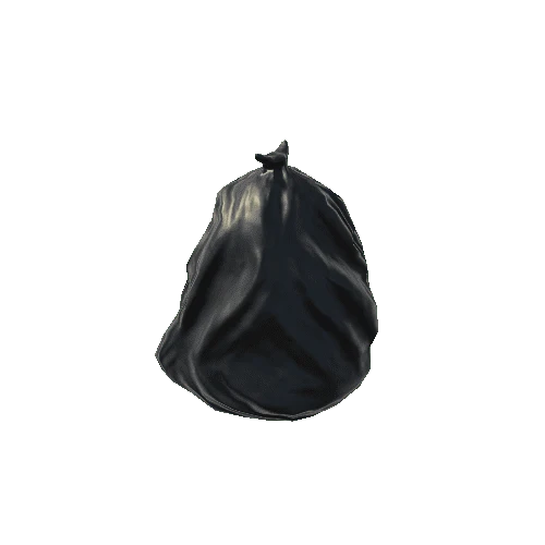 TrashBin_Bag