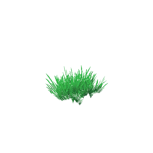 PT_Grass_02