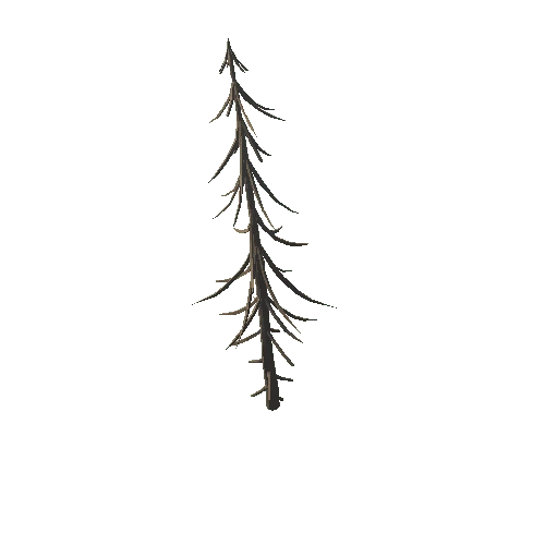 PT_Pine_Tree_03_dead_cut