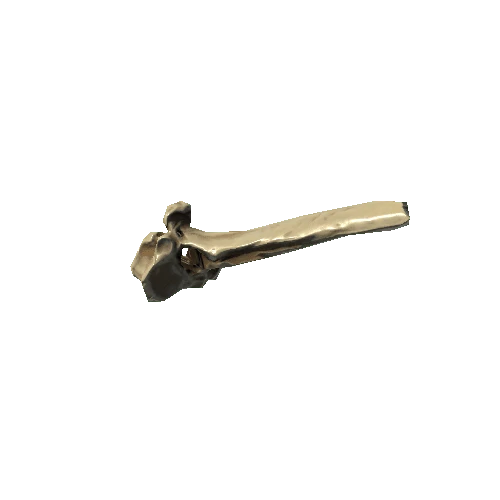 Buffalo_Spine_Bone_08