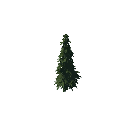 Tree_3