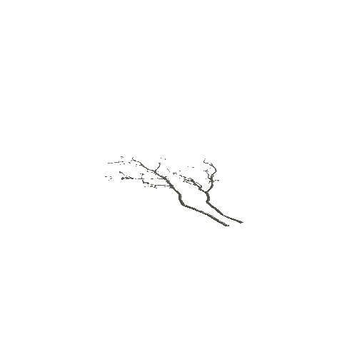 Branch_01