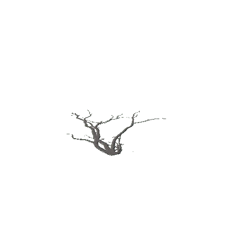 Branch_02