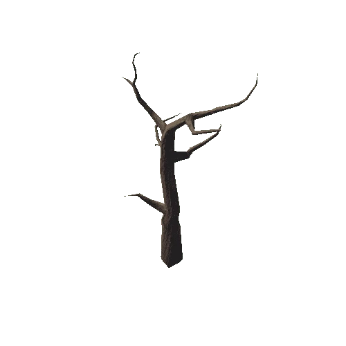 Tree_01