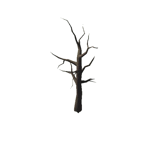 Tree_03