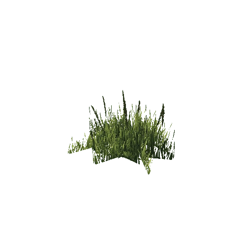 SM_Veg_Plant_Grass_03