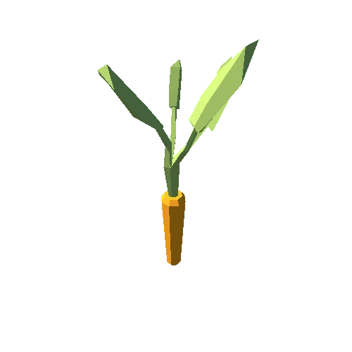 Carrot1