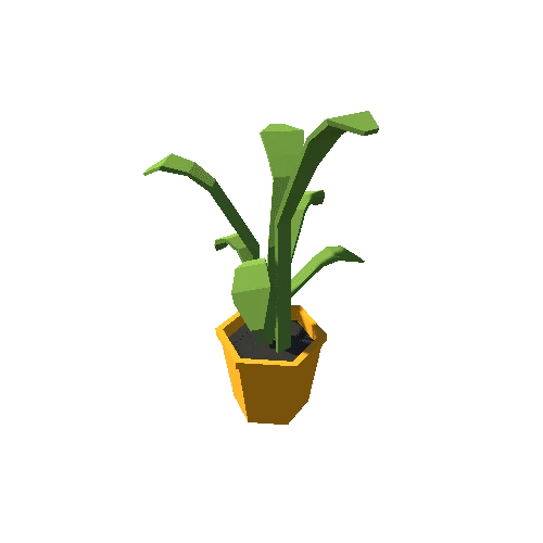 Plant5