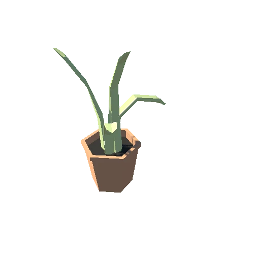 Plant7