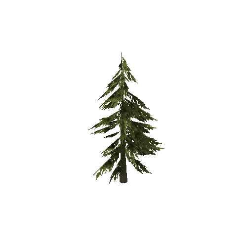 PineTree2