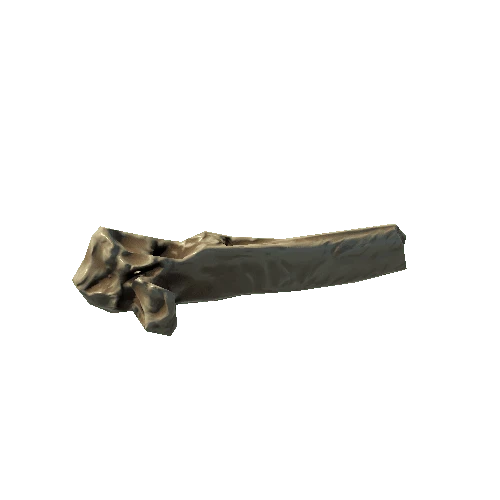 Buffalo_Spine_Bone_15