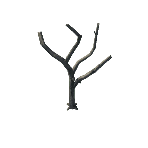 Tree_03