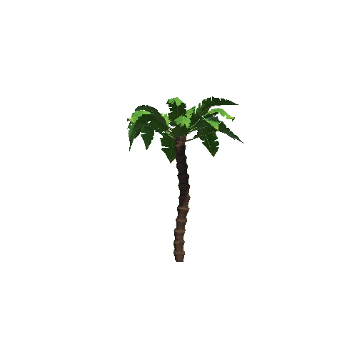 P_palm_01