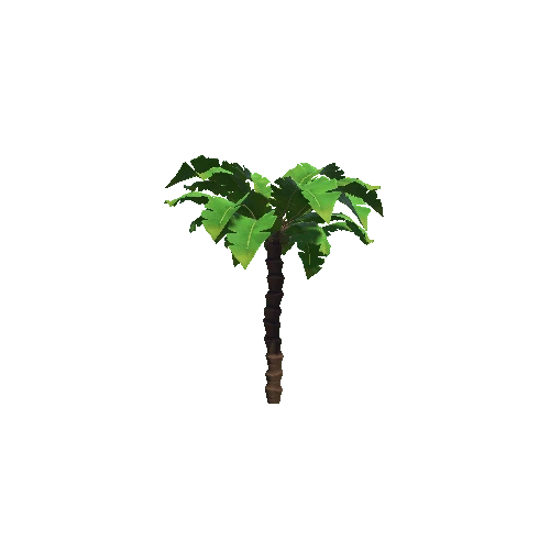 P_palm_03