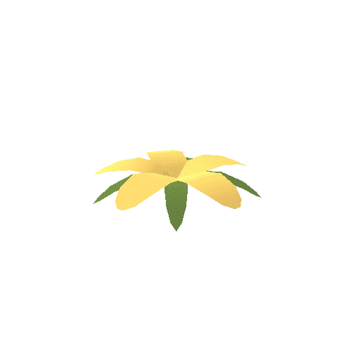 Flower_01