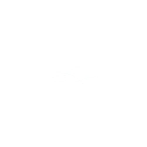 P_Symbol_4