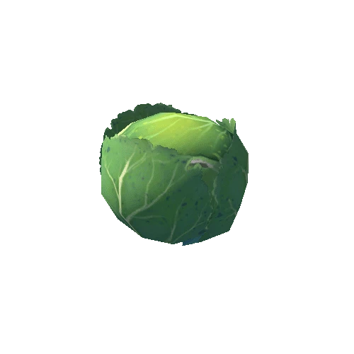 plant_cabbage