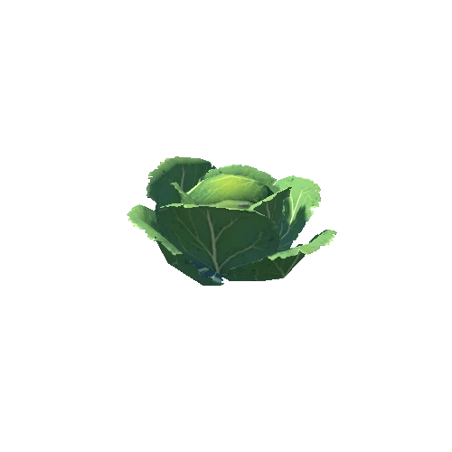 plant_cabbage_S3