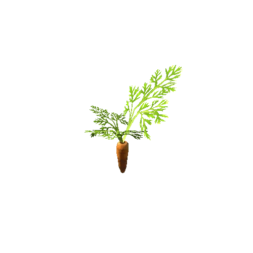 plant_carrot_S2