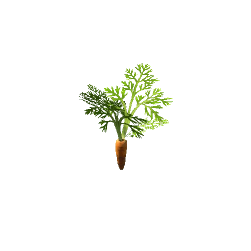 plant_carrot_S3