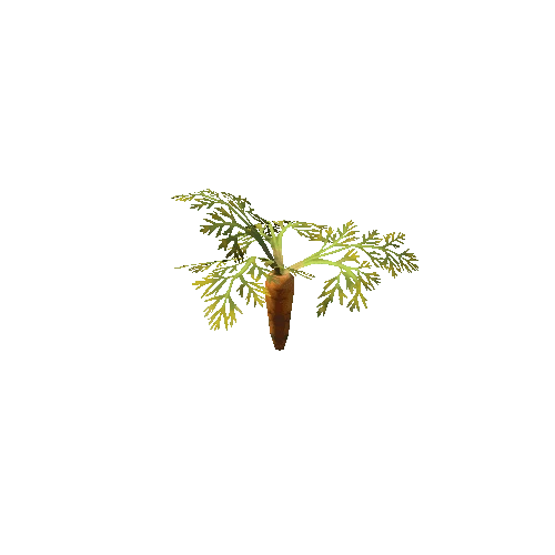 plant_carrot_S4