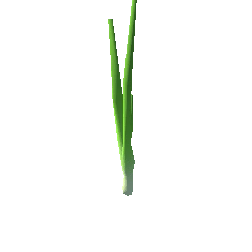 plant_onion_S1