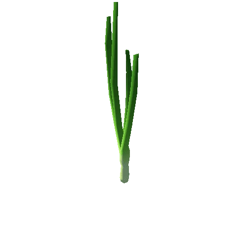 plant_onion_S2