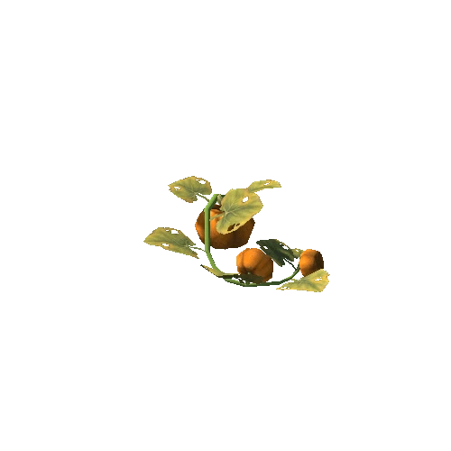 plant_pumpkin_S4