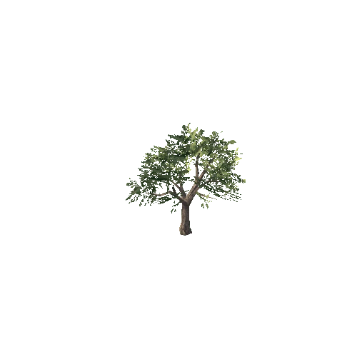 tree_a