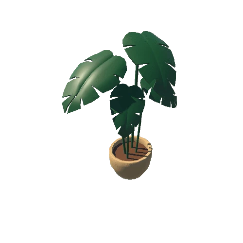 Plant_1