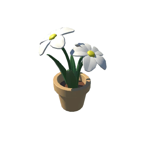 Plant_6