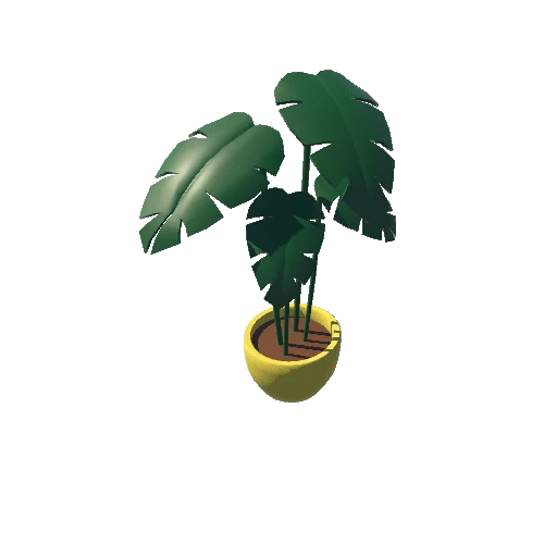 Plant_1