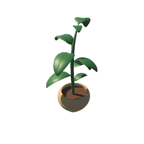 Plant_2