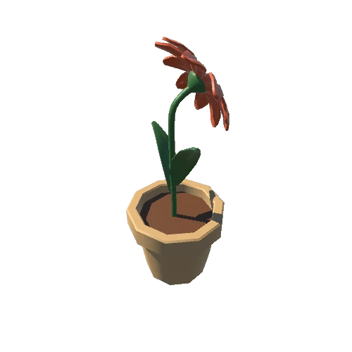 Plant_5